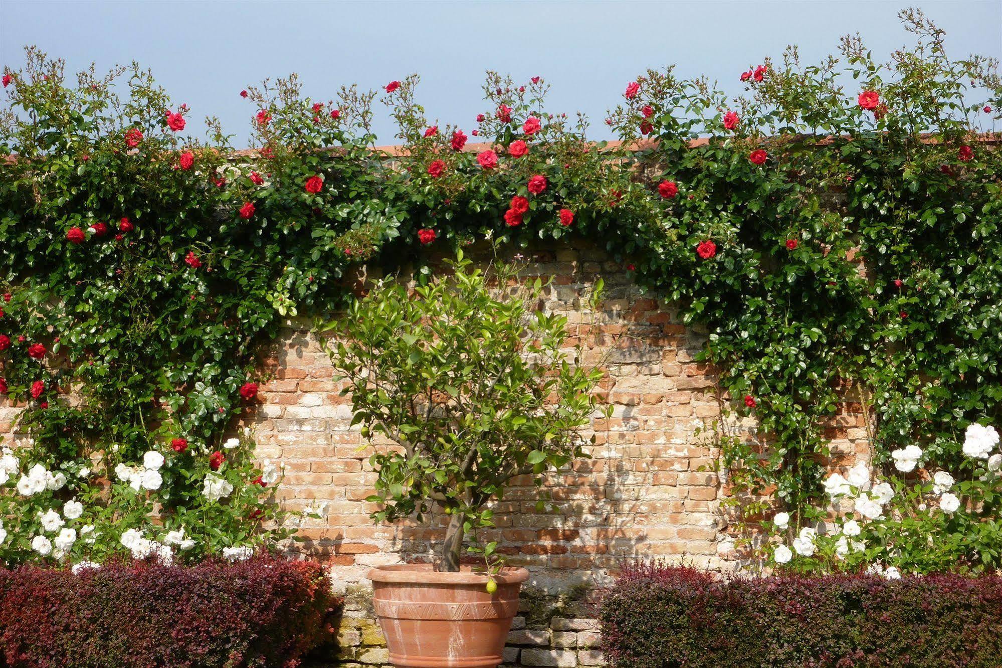 Villa Alberti โตโล ภายนอก รูปภาพ