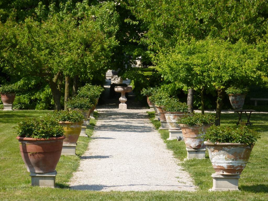 Villa Alberti โตโล ภายนอก รูปภาพ